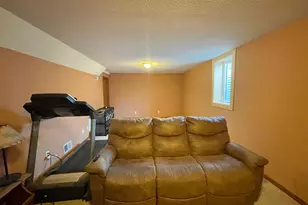 401 Wilson Street W, Springfield, MN 56087 - Photo 36