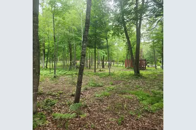 Tbd 186th Ave, McGregor, MN 55760 - Photo 4