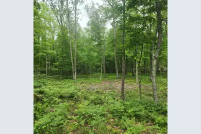 Tbd 186th Ave, McGregor, MN 55760 - Photo 2