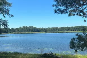 37363 Amen Lake Rd, Deer River, MN 56636 - Photo 1