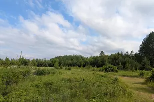 86196 Military Rd, Sturgeon Lake, MN 55783 - Photo 2