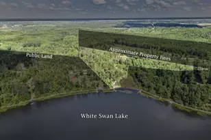 51150 N White Swan Lake Rd, Bigfork, MN 56628 - Photo 6