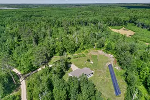 51150 N White Swan Lake Rd, Bigfork, MN 56628 - Photo 2