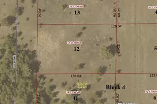 Tbd Lot 12 Oscar Ave, Park Rapids, MN 56470 - Photo 1