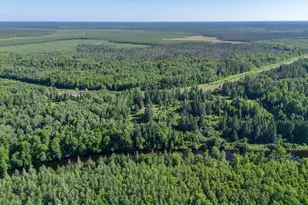 9080 County Rd 30, Big Falls, MN 56627 - Photo 28