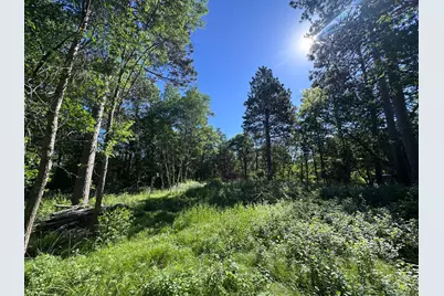 Tbd Franklin Avenue, Park Rapids, MN 56470 - Photo 4
