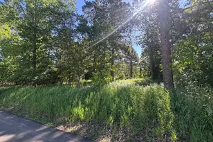 Tbd Franklin Ave, Park Rapids, MN 56470 - Photo 1
