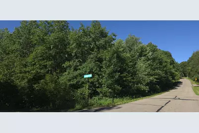 Tbd Aspen Lane, Cushing, MN 56443 - Photo 2