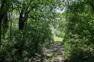 6565 165th Ave NW, New London, MN 56273 - Photo 36
