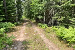 11919 Luna Lake Rd, Side Lake, MN 55781 - Photo 1