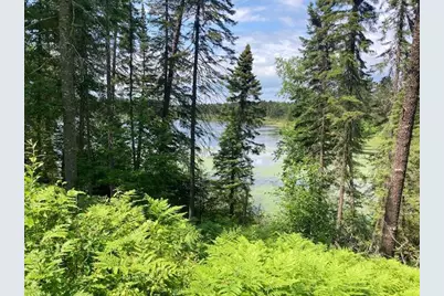 11919 Luna Lake Road, Side Lake, MN 55781 - Photo 18