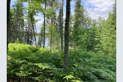 11919 Luna Lake Road, Side Lake, MN 55781 - Photo 16