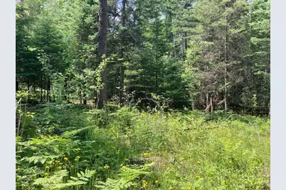 11919 Luna Lake Road, Side Lake, MN 55781 - Photo 14