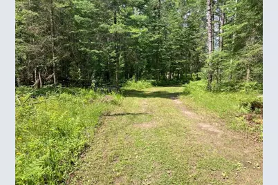 11919 Luna Lake Road, Side Lake, MN 55781 - Photo 2