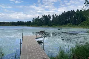 11919 Luna Lake Rd, Side Lake, MN 55781 - Photo 1