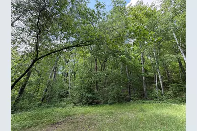 Tbd Hickory Lane, Garrison, MN 56450 - Photo 8