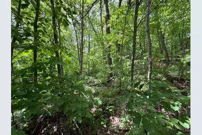 Tbd Hickory Lane, Garrison, MN 56450 - Photo 10