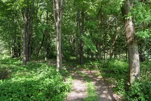 E5443 470th Ave, Menomonie, WI 54751 - Photo 38