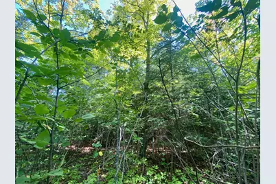 Lot 2 S Gull Lake Rd SW, Tenstrike, MN 56647 - Photo 4