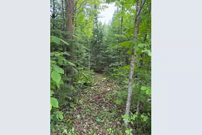Lot 2 S Gull Lake Rd SW, Tenstrike, MN 56647 - Photo 1