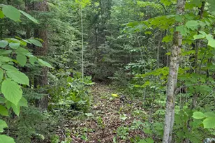 Lot 2 S Gull Lake Rd SW, Tenstrike, MN 56647 - Photo 1