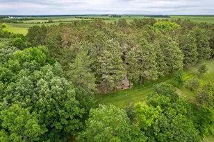 35054 Sterling Silver Dr, Battle Lake, MN 56515 - Photo 88