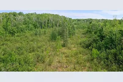 Tbd 370th Lane, McGregor, MN 55760 - Photo 8