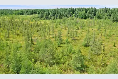 Tbd 370th Lane, McGregor, MN 55760 - Photo 4