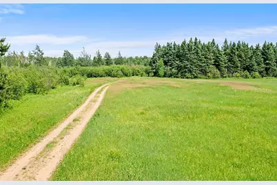 Tbd 370th Lane, McGregor, MN 55760 - Photo 6