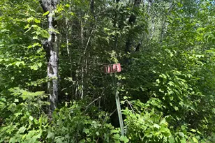 11703 Jacobs Rd, Orr, MN 55771 - Photo 1
