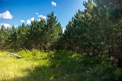 22415 Wilderness Drive, Verndale, MN 56481 - Photo 40