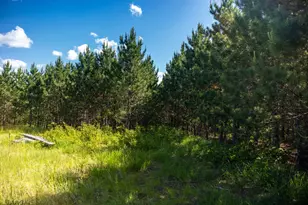 22415 Wilderness Dr, Verndale, MN 56481 - Photo 40