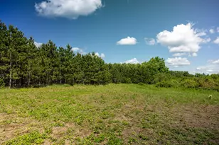 22415 Wilderness Dr, Verndale, MN 56481 - Photo 38
