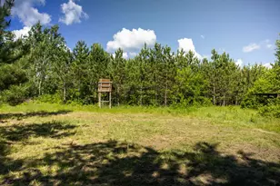 22415 Wilderness Dr, Verndale, MN 56481 - Photo 70