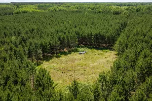 22415 Wilderness Dr, Verndale, MN 56481 - Photo 8