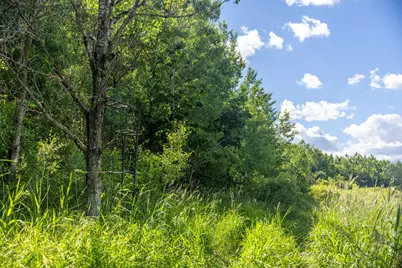 22415 Wilderness Drive, Verndale, MN 56481 - Photo 68