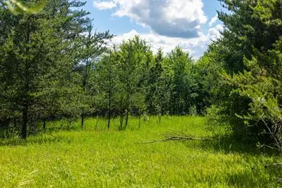 22415 Wilderness Drive, Verndale, MN 56481 - Photo 20