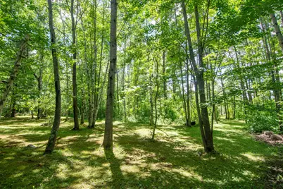 15415 Goshawk Street, Tamarack, MN 55787 - Photo 8