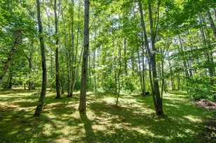15415 Goshawk St, Tamarack, MN 55787 - Photo 8