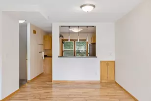 244 3rd Ave NE, Minneapolis, MN 55413 - Photo 8