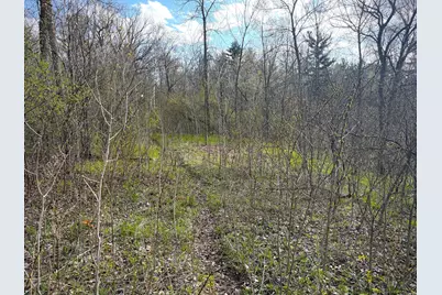Tbd County Line Avenue, Clear Lake, WI 54005 - Photo 10