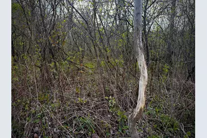Tbd County Line Avenue, Clear Lake, WI 54005 - Photo 4