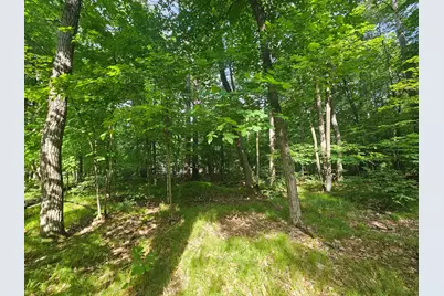 Tbd Whitefish Avenue, Crosslake, MN 56442 - Photo 2