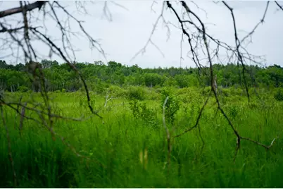 25820 County Road 26, Sebeka, MN 56477 - Photo 40