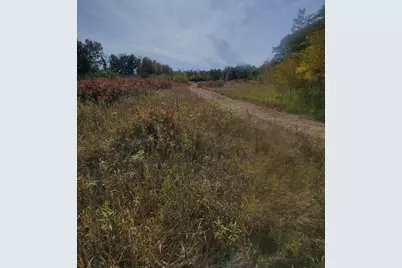 25820 County Road 26, Sebeka, MN 56477 - Photo 82