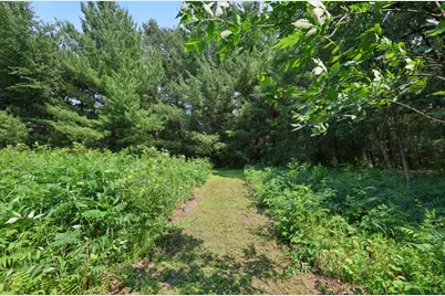 Tbd Ricecliff Lane NW, Rice, MN 56367 - Photo 12