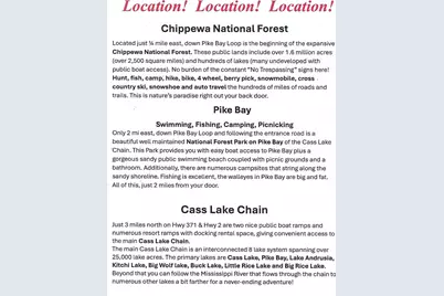 13255 Pike Bay Loop NW, Cass Lake, MN 56633 - Photo 14