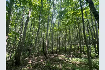 Parcel 6 County Road A, Solon Springs, WI 54873 - Photo 6