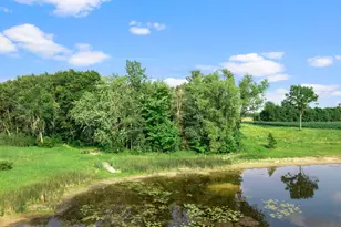 5614 407th Ct, North Branch, MN 55056 - Photo 80
