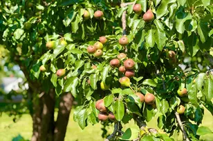 142 Red Wing Ave S, Red Wing, MN 55066 - Photo 6